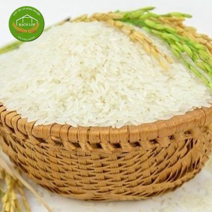 GẠO RVT